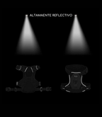 Set de Paseo - Leopard