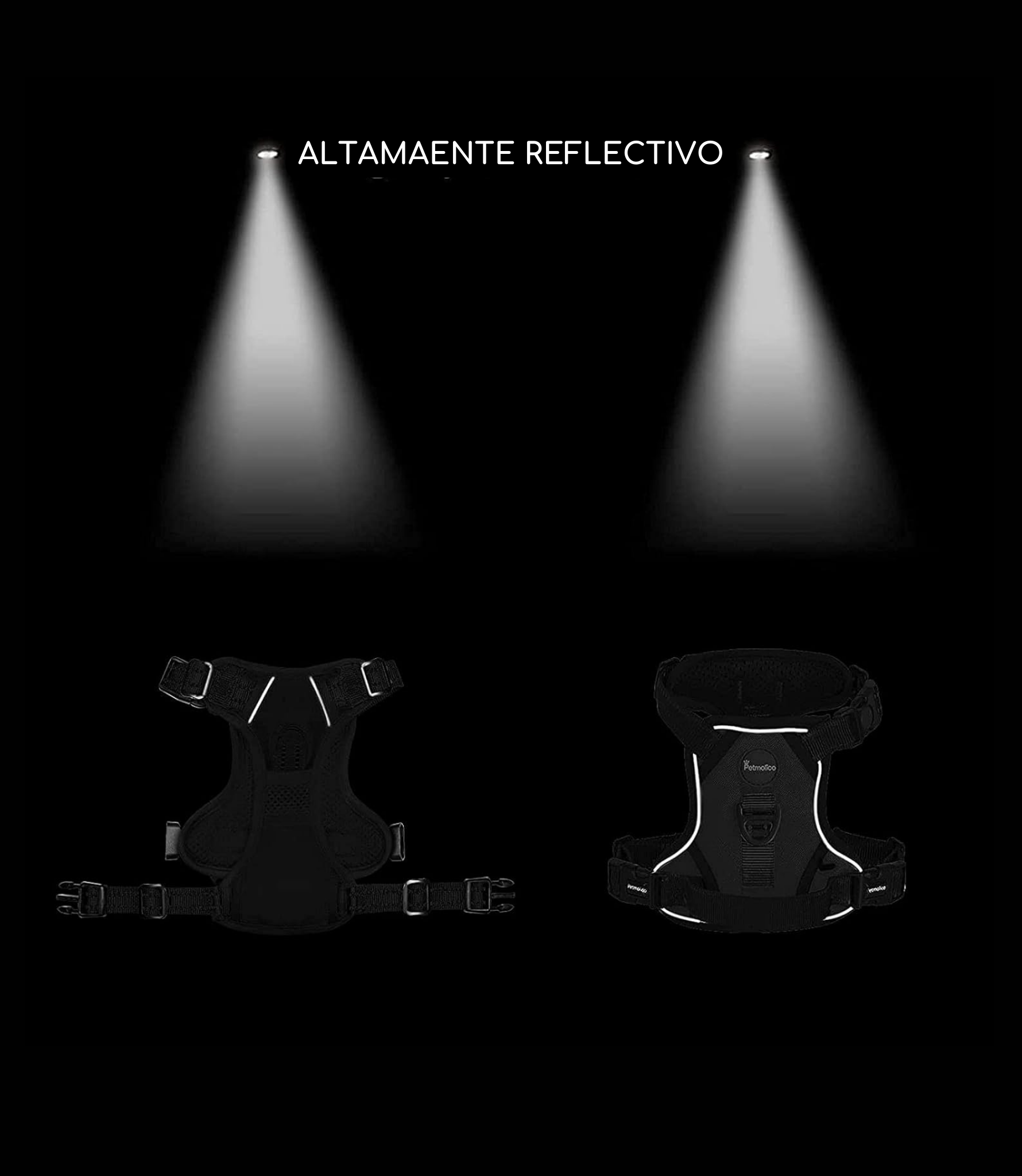 Set de Paseo - Leopard