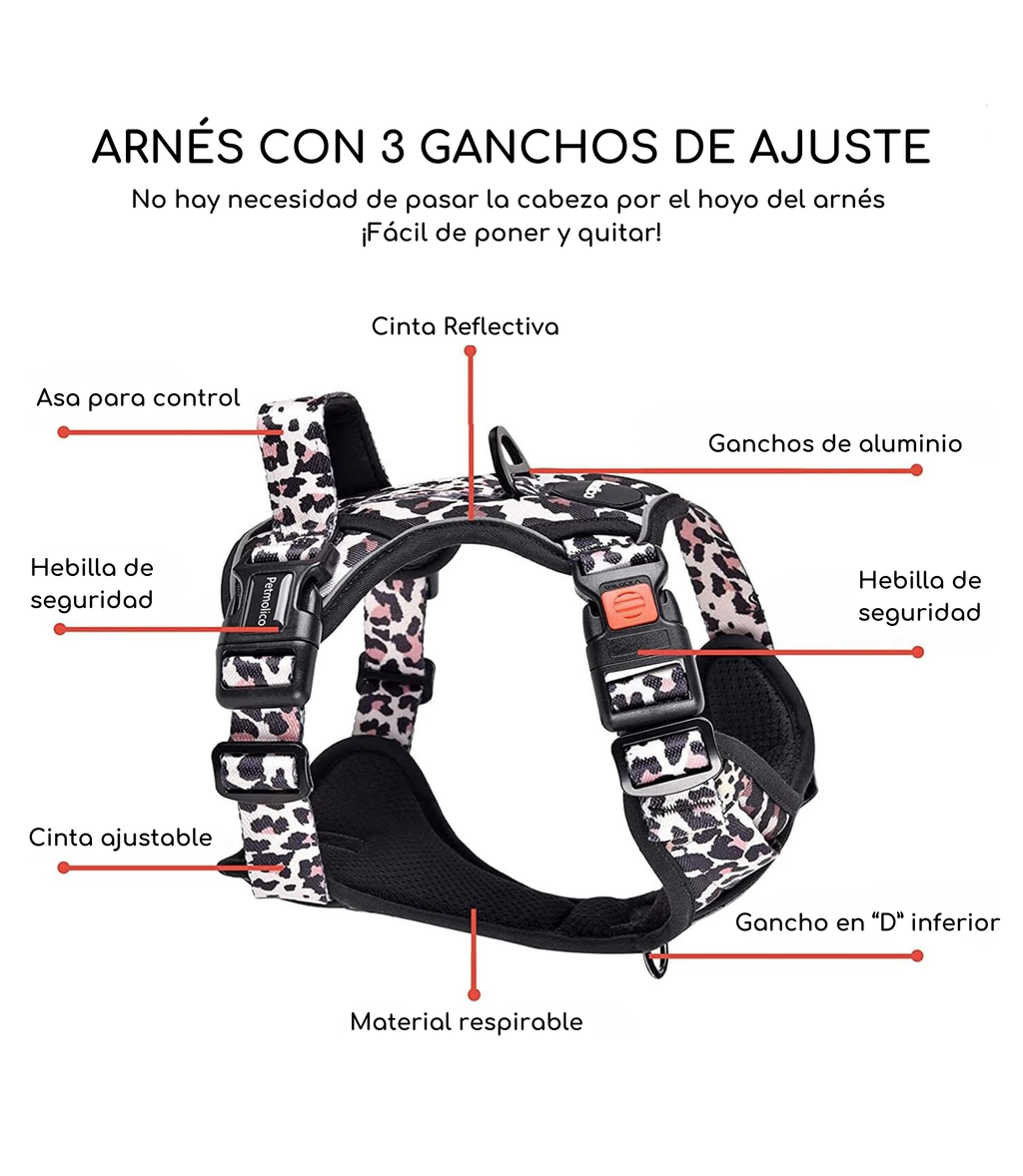 Set de Paseo - Leopard