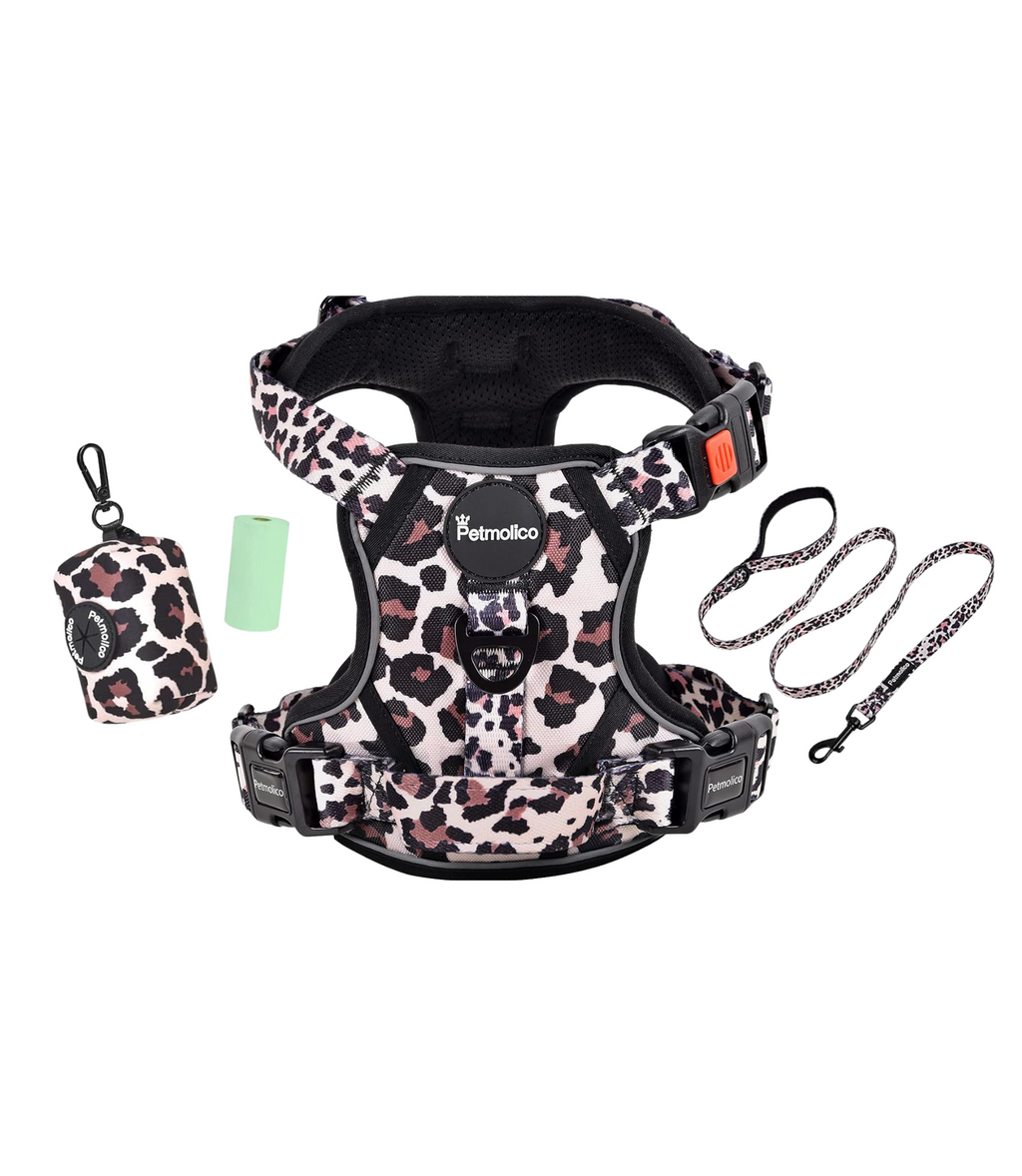 Set de Paseo - Leopard