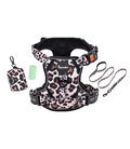 Set de Paseo - Leopard