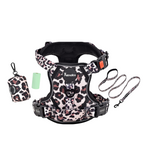 Set de Paseo - Leopard