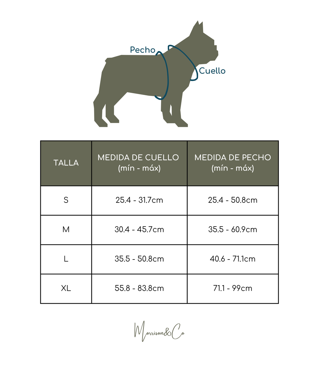 Set de Paseo - Leopard