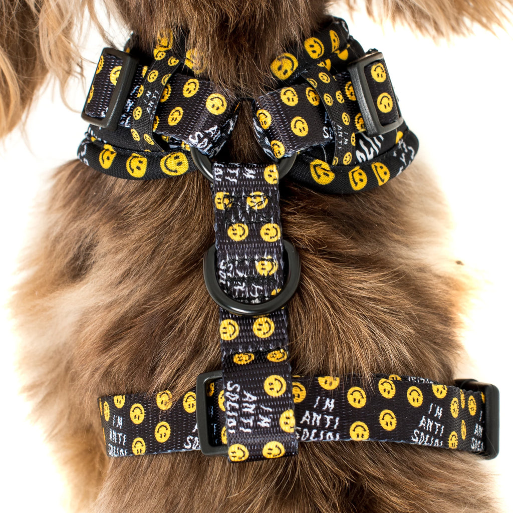 Arnés I'm Anti Social