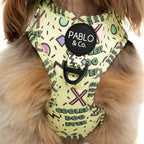 Arnés Coolest Dog Ever