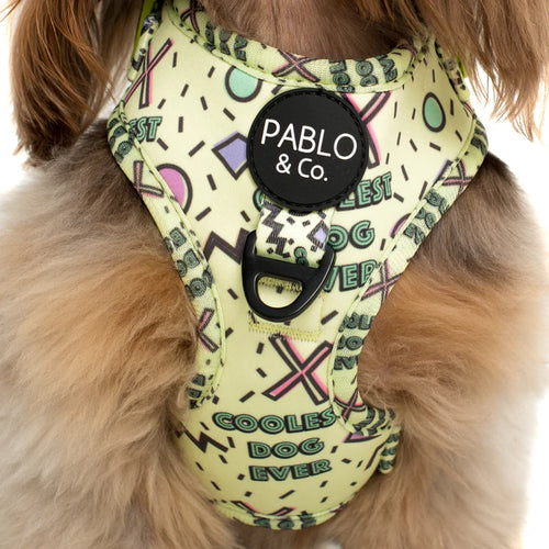 Arnés Coolest Dog Ever