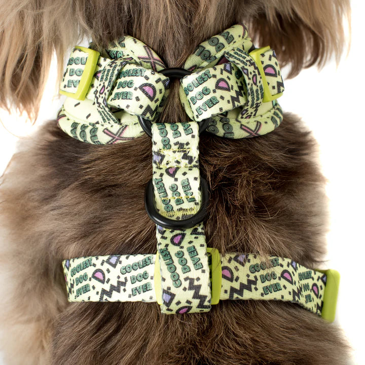 Arnés Coolest Dog Ever