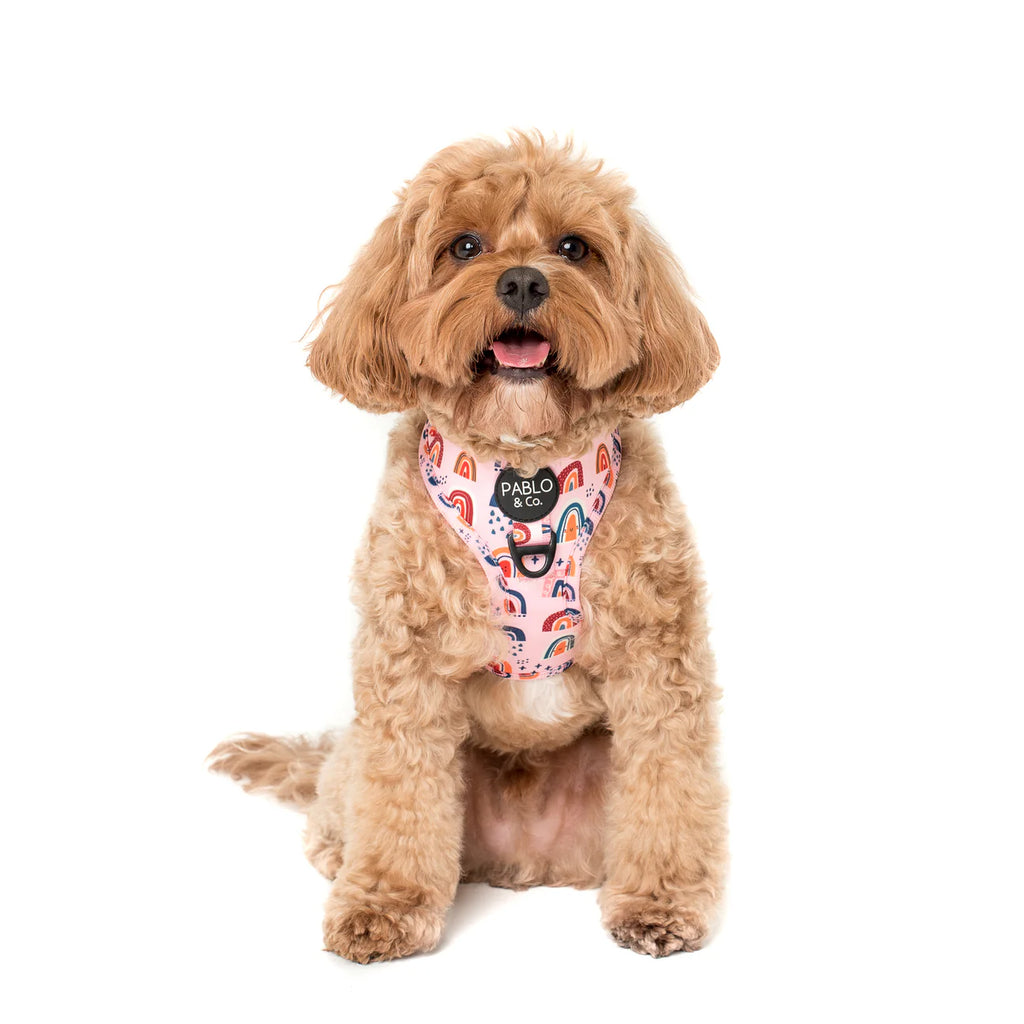 Arnés Pink Rainbows