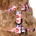 Arnés Pink Rainbows