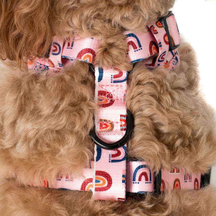 Arnés Pink Rainbows